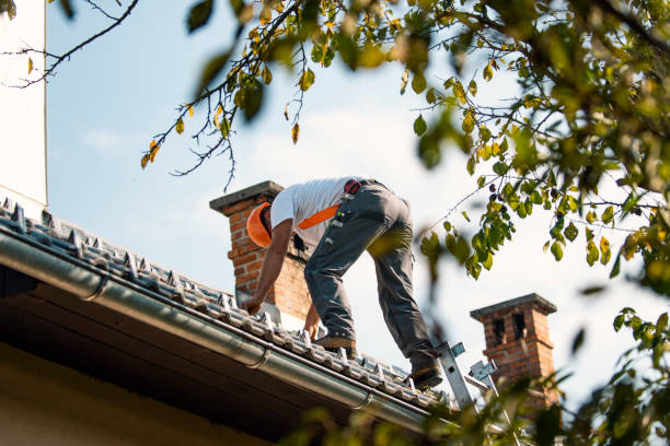 Best Chimney Flashing Repair  in Suitland, MD