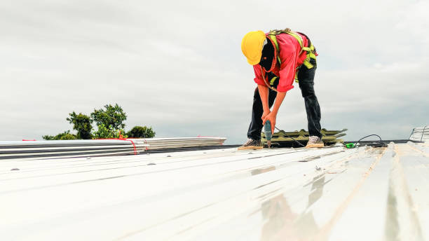 Best Flat Roofing  in Suitland, MD