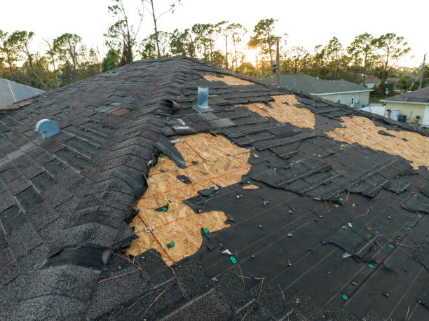 Best Asphalt Shingle Roofing  in Suitland, MD
